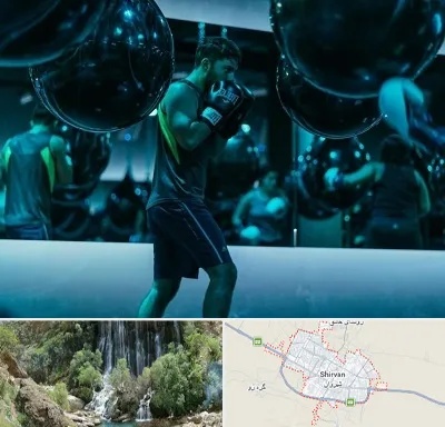 باشگاه بوکس در شیروان