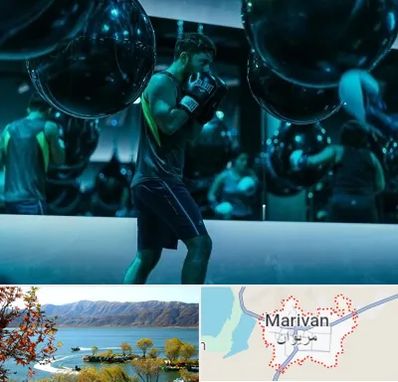 باشگاه بوکس در مریوان