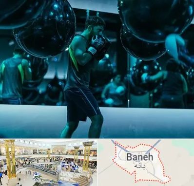 باشگاه بوکس در بانه