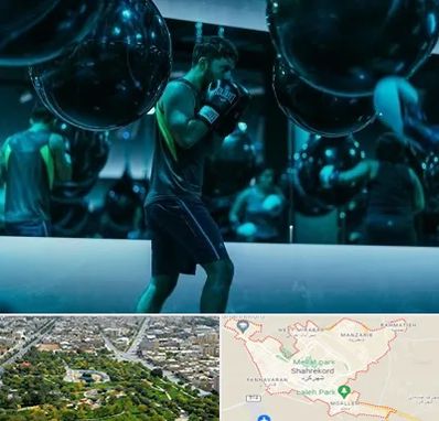 باشگاه بوکس در شهرکرد