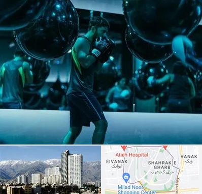 باشگاه بوکس در شهرک غرب 