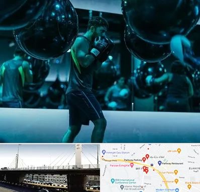 باشگاه بوکس در پارک وی