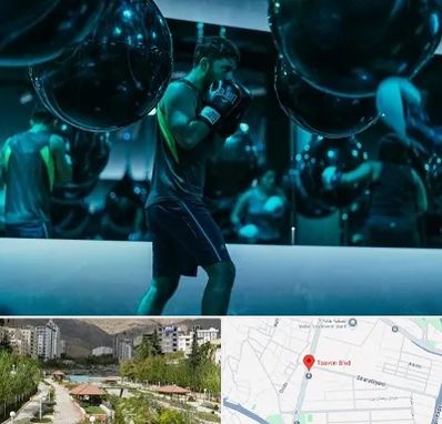 باشگاه بوکس در بلوار تعاون