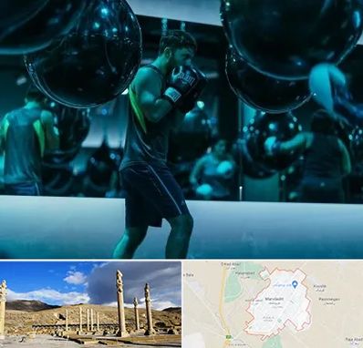 باشگاه بوکس در مرودشت