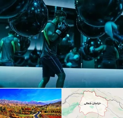 باشگاه بوکس در خراسان شمالی