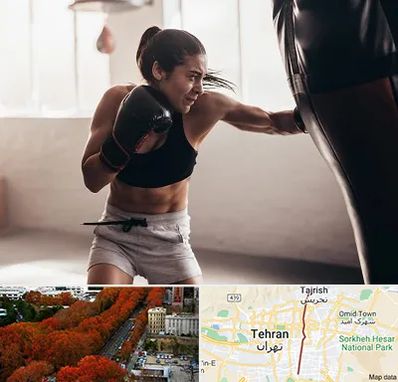 باشگاه بوکس بانوان در ولیعصر
