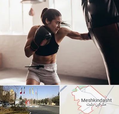 باشگاه بوکس بانوان در مشکین دشت