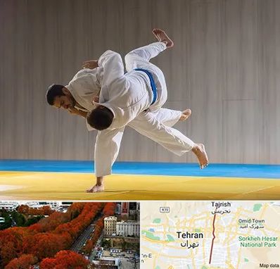 باشگاه جودو در ولیعصر