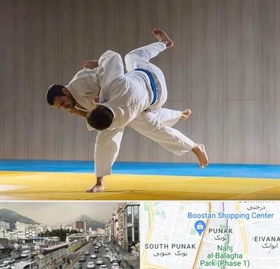 باشگاه جودو در پونک 