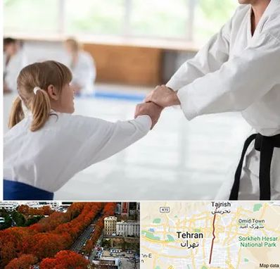 باشگاه جودو بانوان در ولیعصر