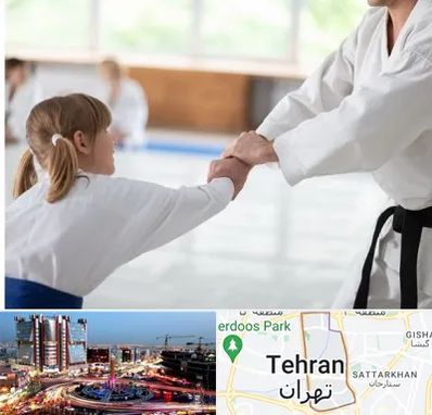 باشگاه جودو بانوان در صادقیه 