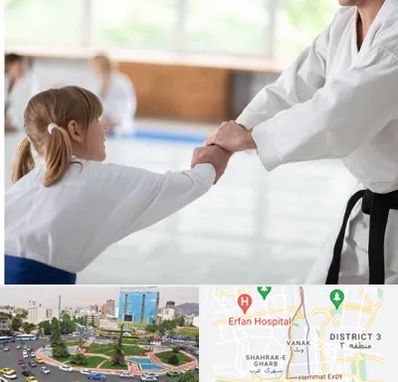 باشگاه جودو بانوان در ونک 