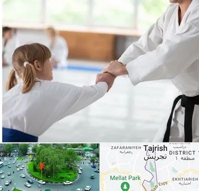 باشگاه جودو بانوان در تجریش 