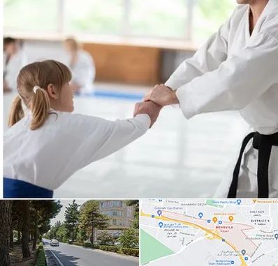 باشگاه جودو بانوان در مهرویلا کرج