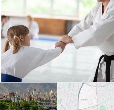 باشگاه جودو بانوان در جمشیدیه