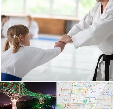 باشگاه جودو بانوان در منطقه 3 تهران