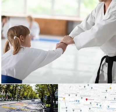 باشگاه جودو بانوان در میرداماد