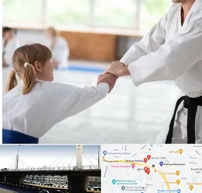 باشگاه جودو بانوان در پارک وی