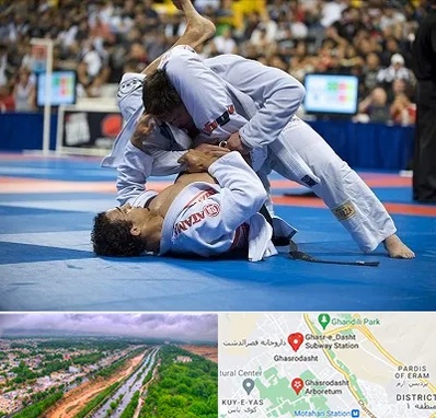 باشگاه جوجیتسو در قصرالدشت شیراز