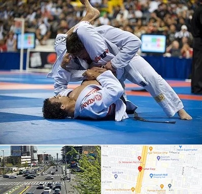 باشگاه جوجیتسو در ستاری