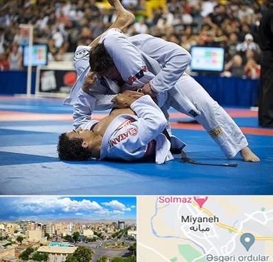 باشگاه جوجیتسو در میانه