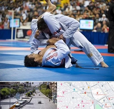 باشگاه جوجیتسو در خیابان زند شیراز