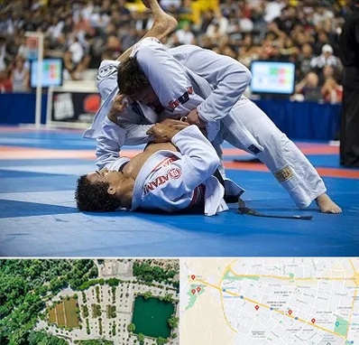 باشگاه جوجیتسو در وکیل آباد مشهد