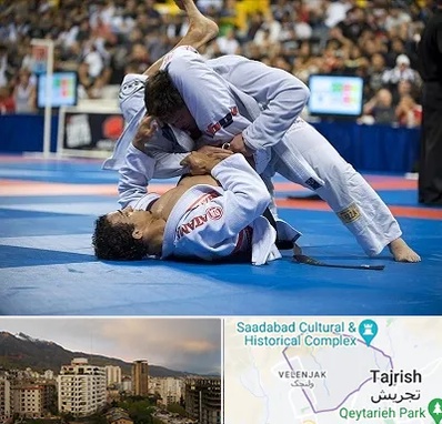 باشگاه جوجیتسو در زعفرانیه