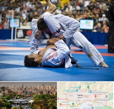 باشگاه جوجیتسو در منطقه 1 تهران