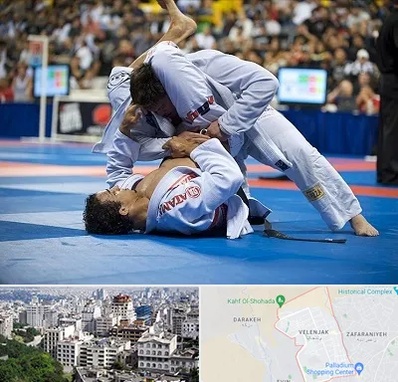 باشگاه جوجیتسو در ولنجک 