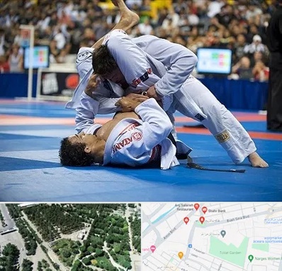 باشگاه جوجیتسو در سالاریه قم