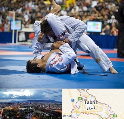 باشگاه جوجیتسو در تبریز