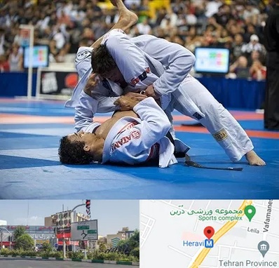 باشگاه جوجیتسو در هروی