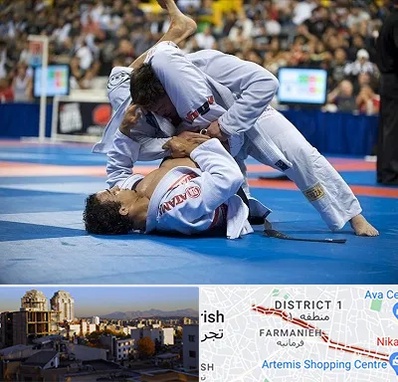 باشگاه جوجیتسو در فرمانیه