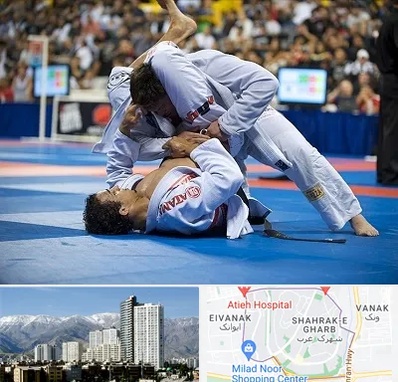 باشگاه جوجیتسو در شهرک غرب 