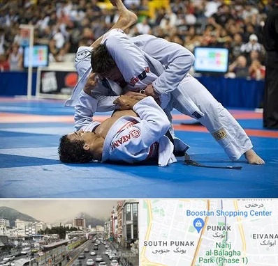 باشگاه جوجیتسو در پونک 