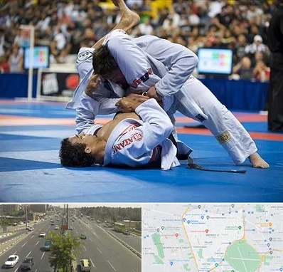 باشگاه جوجیتسو در منطقه 17 تهران