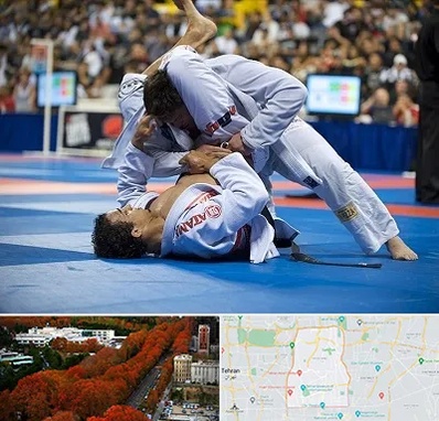 باشگاه جوجیتسو در منطقه 6 تهران