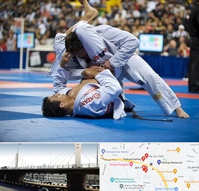 باشگاه جوجیتسو در پارک وی