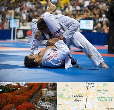 باشگاه جوجیتسو در ولیعصر