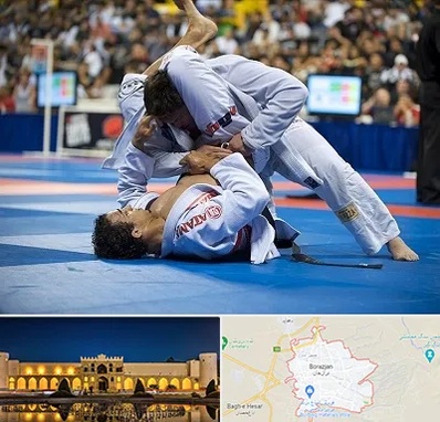 باشگاه جوجیتسو در برازجان