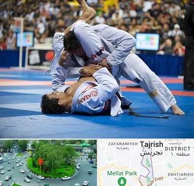 باشگاه جوجیتسو در تجریش 