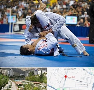 باشگاه جوجیتسو در بلوار تعاون