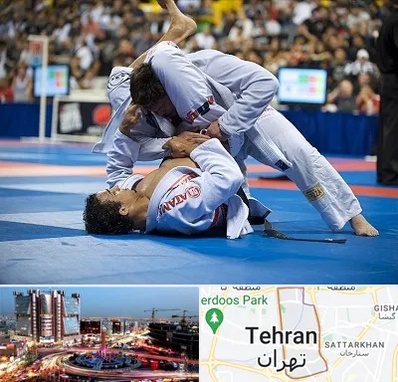 باشگاه جوجیتسو در صادقیه 