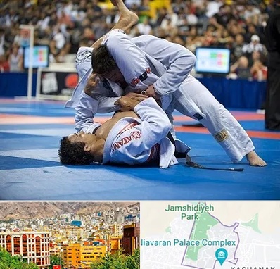 باشگاه جوجیتسو در نیاوران 