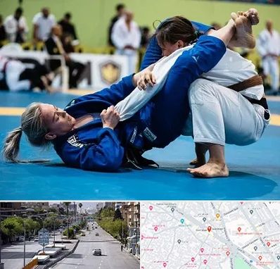 باشگاه جوجیتسو بانوان در خیابان زند شیراز