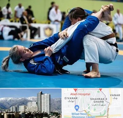 باشگاه جوجیتسو بانوان در شهرک غرب 