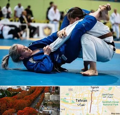 باشگاه جوجیتسو بانوان در ولیعصر