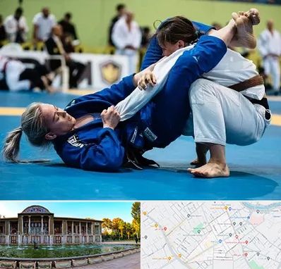 باشگاه جوجیتسو بانوان در عفیف آباد شیراز