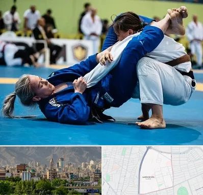 باشگاه جوجیتسو بانوان در جمشیدیه